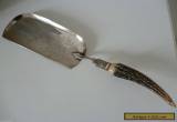 Antique Vintage Silver Plated Crumb Tray with Antler / Horn handle for Sale
