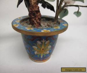 Item Pair Vintage Chinese Hardstone Jade Trees in Cloisonne Pots, Appx. 7" High for Sale