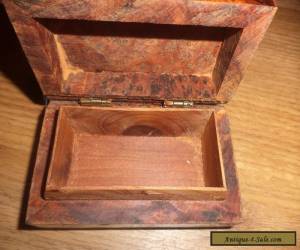 Item   burr  wooden box with  hinged lid for Sale