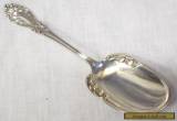 Beautiful OLD Antique VICTORIAN STERLING SILVER SERVING SPOON Scroll Design for Sale