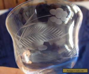 Item 6 Cordial Stemware Liqueur Glasses Etched Flowers & Ferns Fine Fancy Crystal for Sale