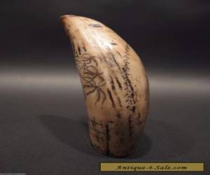 Item Nice Antique Style Folk Art Whale Scrimshaw Etched Resin Tooth  for Sale