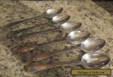 (7) FANEUIL OR QUEEN ANN TIFFANY & CO. STERLING SILVER TEASPOONS No Monogram for Sale