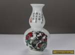  Exquisite chinese retro painting lum blossom porcelain Vase 1 for Sale