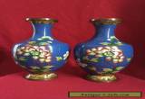 A pair of antique Chinese Cloisonne Vase for Sale