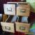 Vintage Wooden INDEX Storage Box  X 4 OAK  Wood . for Sale