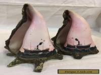 ANTIQUE 2 VICTORIAN HAND PAINTED STEAMSHIP CONCH SHELLS Bookends Mantel Ornament