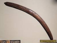 19th Century Incised Australian Boomerang. Northern NSW/ Southern Queensland