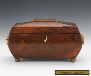 Item Lovely Victorian Burled Wood Tea Caddy Box 19th Century Antique for Sale