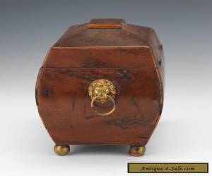 Item Lovely Victorian Burled Wood Tea Caddy Box 19th Century Antique for Sale