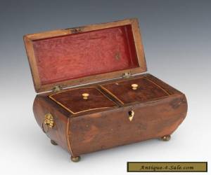 Item Lovely Victorian Burled Wood Tea Caddy Box 19th Century Antique for Sale