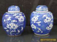 Two Antique Chinese 19th C Prunus Pattern Tea Caddys / Jars - Signed Kangxi