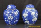 Two Antique Chinese 19th C Prunus Pattern Tea Caddys / Jars - Signed Kangxi for Sale