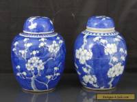 Two Antique Chinese 19th C Prunus Pattern Tea Caddys / Jars - Signed Kangxi