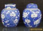 Two Antique Chinese 19th C Prunus Pattern Tea Caddys / Jars - Signed Kangxi for Sale